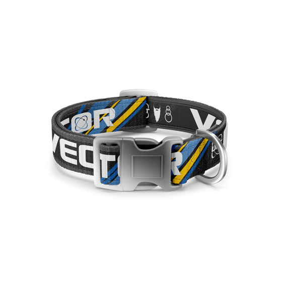 Vector Dog Collar Set