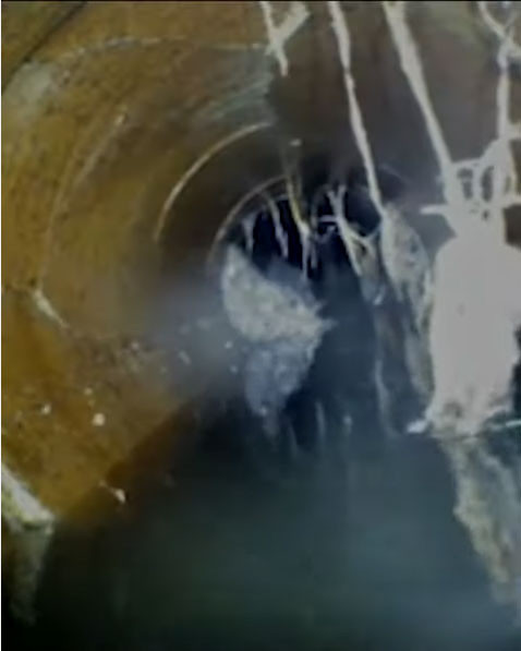 What’s inside your sewer 5?
