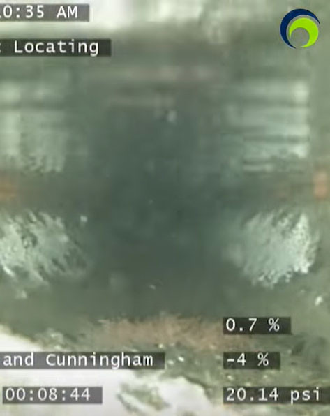 What’s inside your sewer 14? Sea Creatures