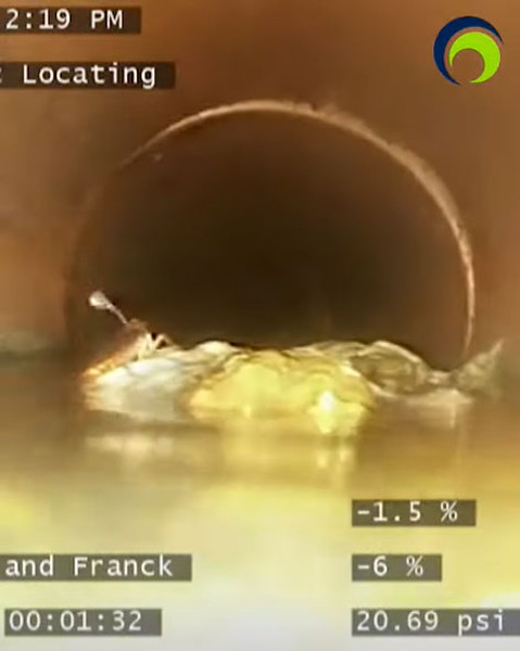 What’s inside your sewer 15? Roaches on a Man-Made Island