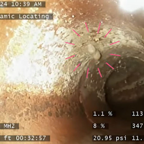 What’s inside your sewer 17? Strange Egg-like danglers