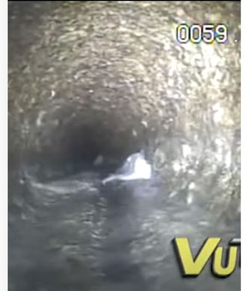 What’s inside your sewer?