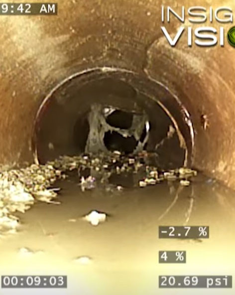 What’s inside your sewer 10? How many roaches are there?