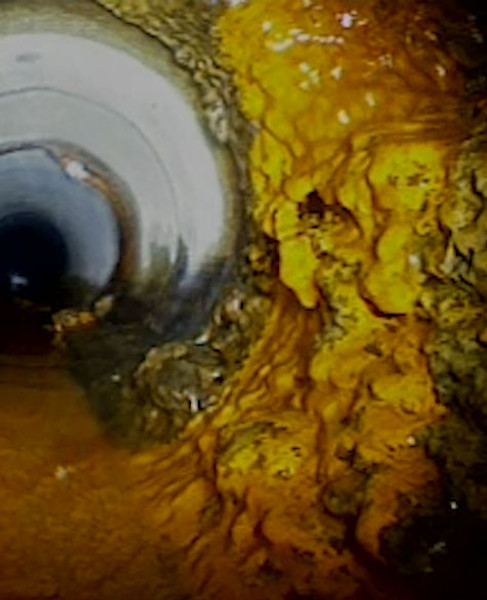 What’s inside your sewer 6?