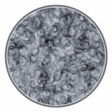 Fusion Illusion 108"