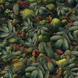 *Babies in the Wild Minky