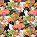 Whiskers Among Petals Digital