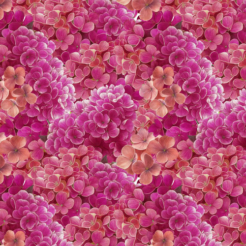 4741-55 Fuchsia || Florinda