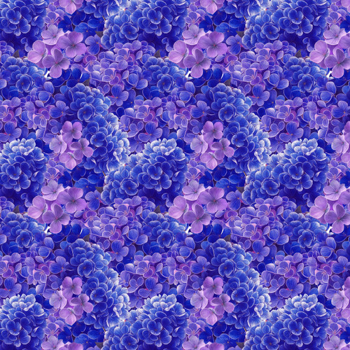 4741-75 Violet || Florinda