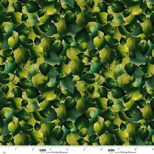 5063-66 Green || Babies in the Wild