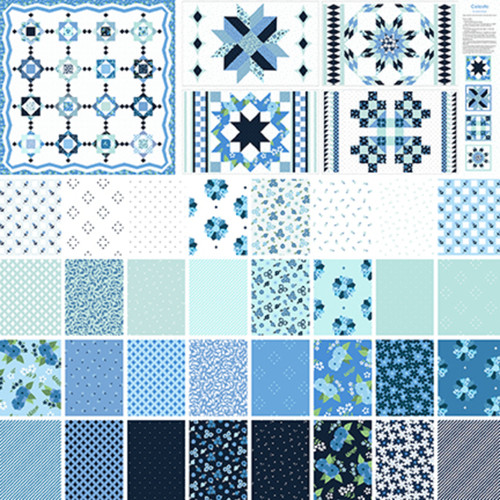 Celeste Full Collection* || Celeste