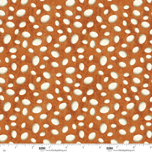 5314-36 Amber || Little Dino World