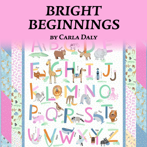 Bright Beginnings by Carla Daly