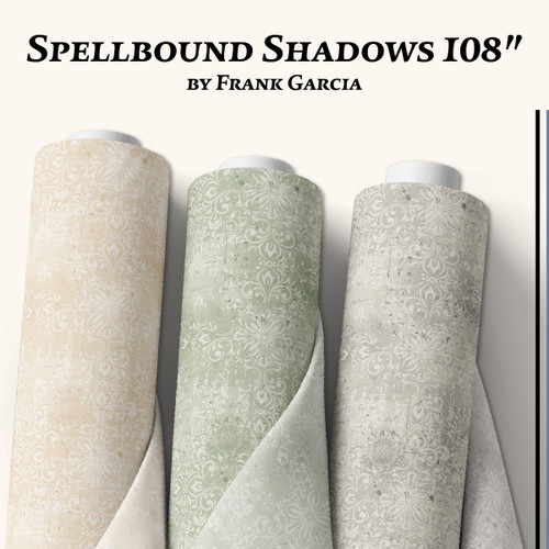 Spellbound Shadows by Frank Garcia