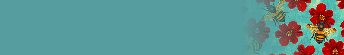 enchanted-canopy-header.jpg