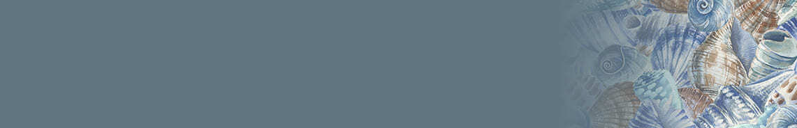 seatopia-header.jpg