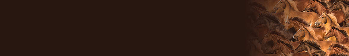 spur-spirit-header.jpg