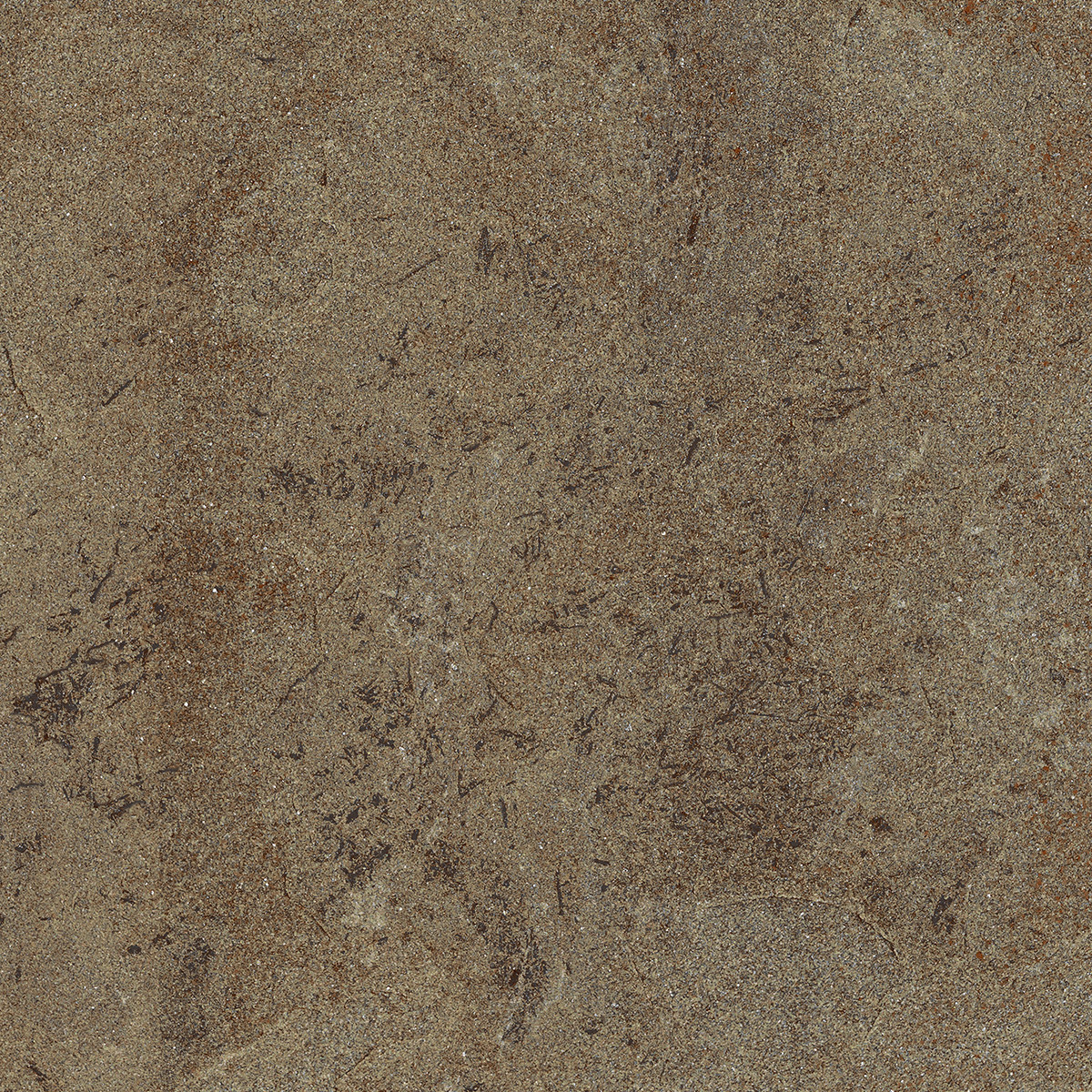 Titan Sylvania - Sepia/Grey Cleft Glazed Porcelain Tile
