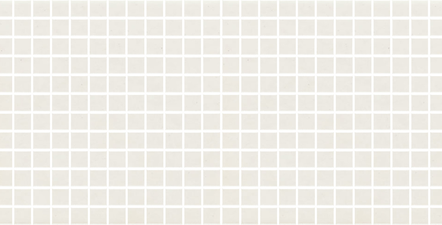 Bristol Praxis - White Matte