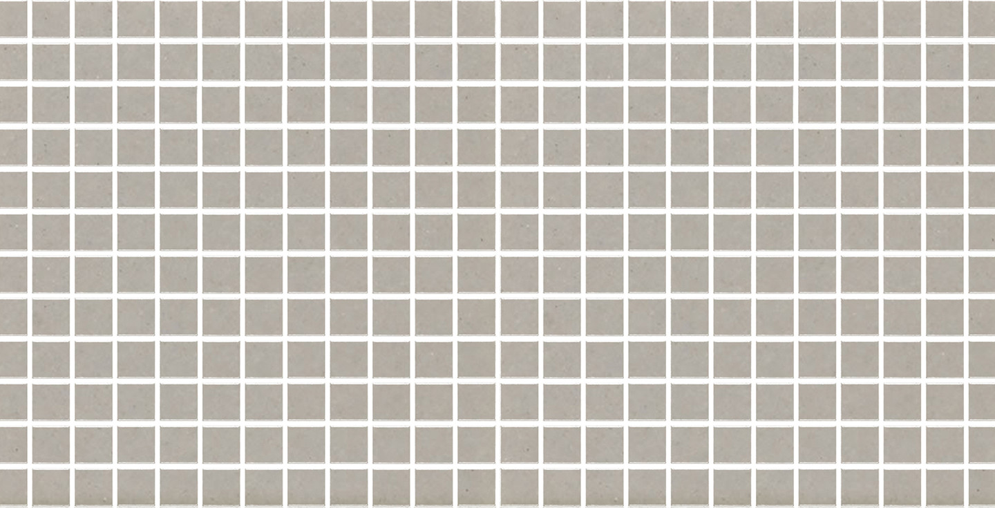 Bristol Praxis - Silver Matte