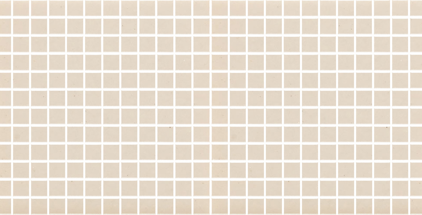 Bristol Praxis - Bone Matte