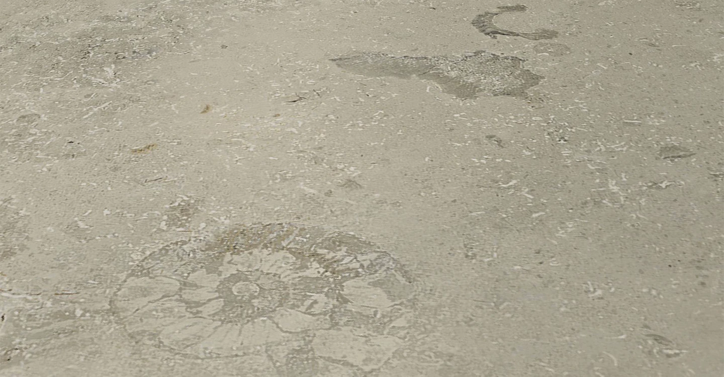 Forte Trella - Wool Matte | Glazed Porcelain