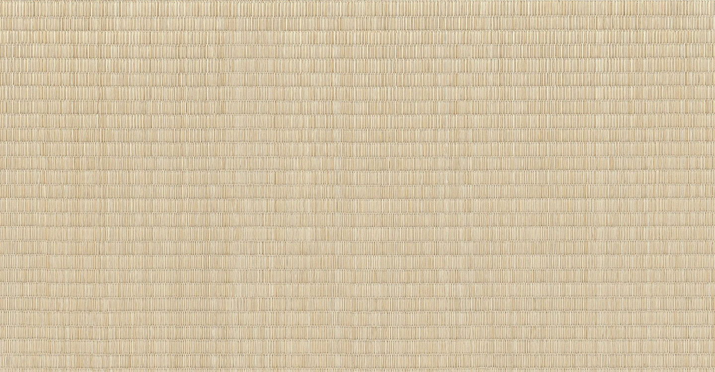 Vista Lotus - Sand Matte | Glazed Porcelain