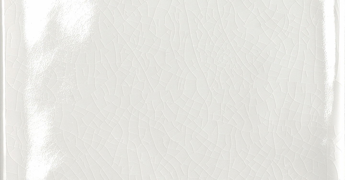 Terres blanches grès et faïences fines Grès blanc fine chamotte 254
