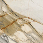 Marble - Calacatta Macchia Vecchia Honed | Stone