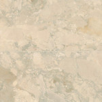 Moretti Albion - Birch Textured | Glazed Porcelain