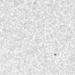 Gemma Marmo Terrazzo - Vienna Sandblasted | Terrazzo