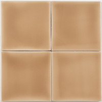 Kera Transparent Wall - Suede Glossy