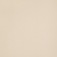 SoCal Figure - Cream Matte