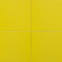 Salbo Color Blocks - Lemon Glossy