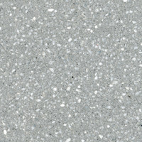 Cicero Epoch Terrazzo - Amica Polished