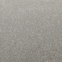 Cicero Genus Terrazzo - Etiam Polished