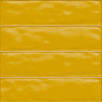 Hugo Rastelo - Mustard Glossy 3x12" Scored