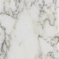 Marble - Arabescato Vagli Polished