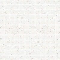 Bristol Praxis - White Speckled Matte