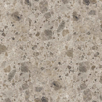 Vista Alpine - Tan Aggregate Matte