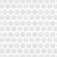 Avi Annex - Powder Discs Matte