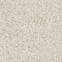 Graniti Guccio - Greige Textured | Glazed Porcelain