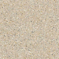 Graniti Guccio - Sand Textured | Glazed Porcelain