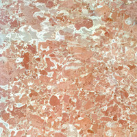 Marble - Botero Polished | Stone