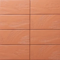 Avi Costa - Terracotta Matte | Glazed Porcelain