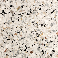 Aggregato Terrazzo - Earth Honed