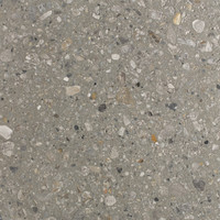 Aggregato Terrazzo - Concrete Grey Brushed