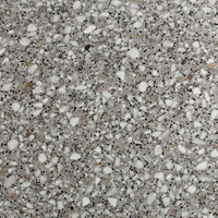 Aggregato Terrazzo - Pearl Grey Polished