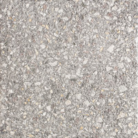 Aggregato Terrazzo - Night Sky Bush Hammered