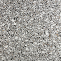 Aggregato Terrazzo - Pearl Grey Honed